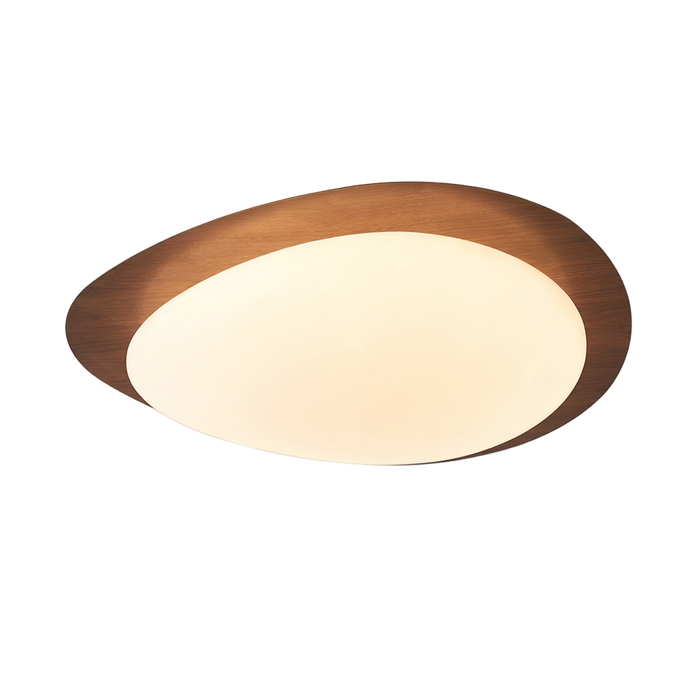 Plafonnier Trava – LED – Lumsky