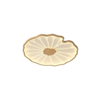 Plafonnier LED Prysm13 avec Design Épuré | Éclairage Ambiance Chaleureuse pour Intérieur 1