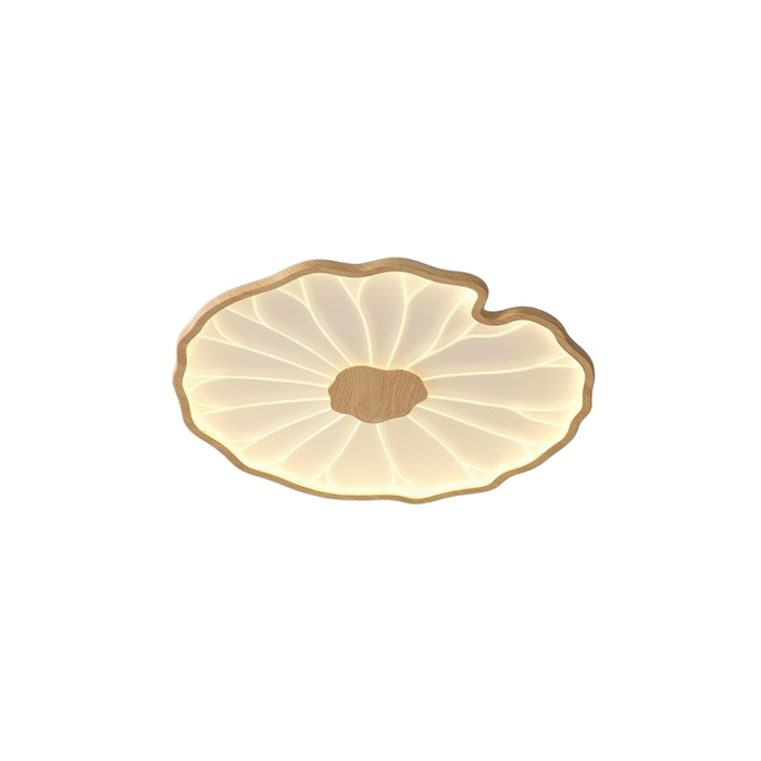 Plafonnier Milo – LED – Lumsky