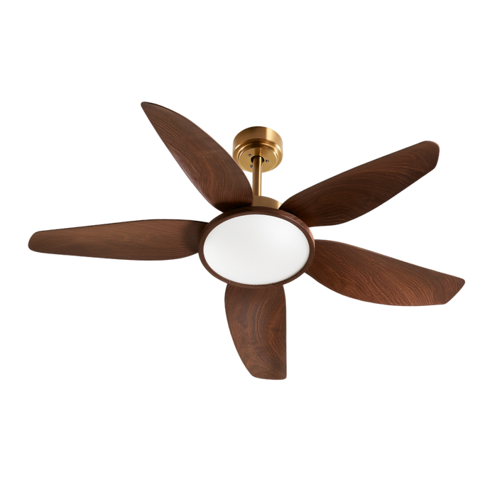 Ventilateur de plafond Vireo – LED – Lumsky