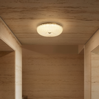 Prysm6 | Plafonnier LED avec Finition Élégante | Éclairage Ambiant pour Intérieur et Extérieur 3