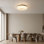 Prysm6 | Plafonnier LED avec Finition Élégante | Éclairage Ambiant pour Intérieur et Extérieur 5